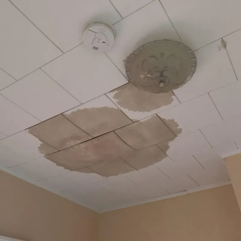 Ceiling Water Damage Repair in Mason County, WV