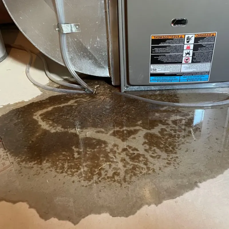 Pipe Burst and Leak Restoration in Mason County, WV